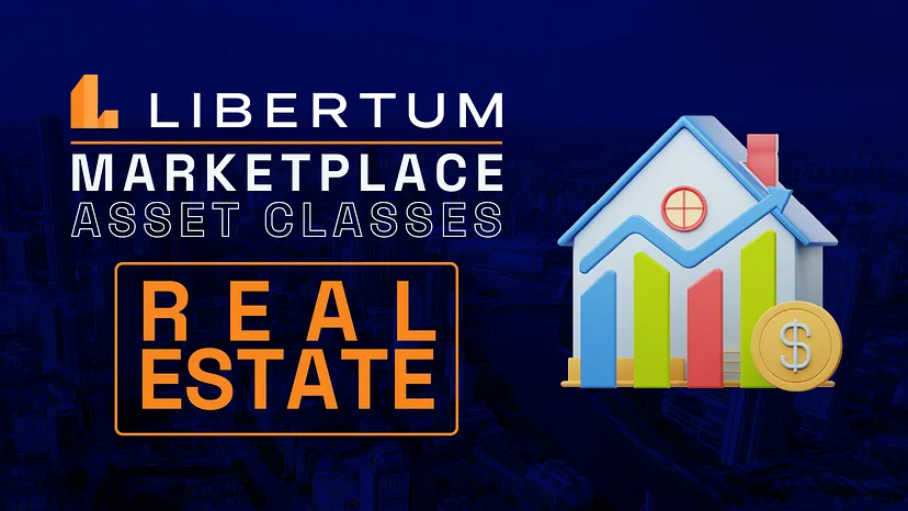 Libertum Marketplace - The Expanding Asset Classes & The Process